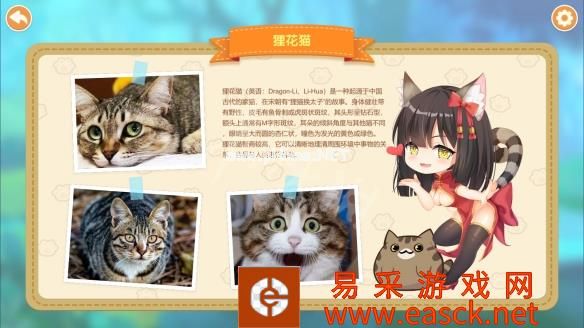 猫咪小姐2游戏介绍