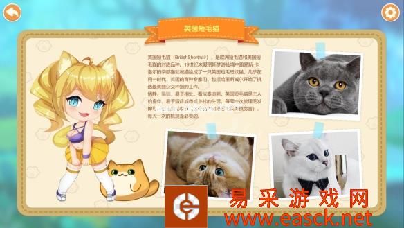 猫咪小姐2游戏介绍