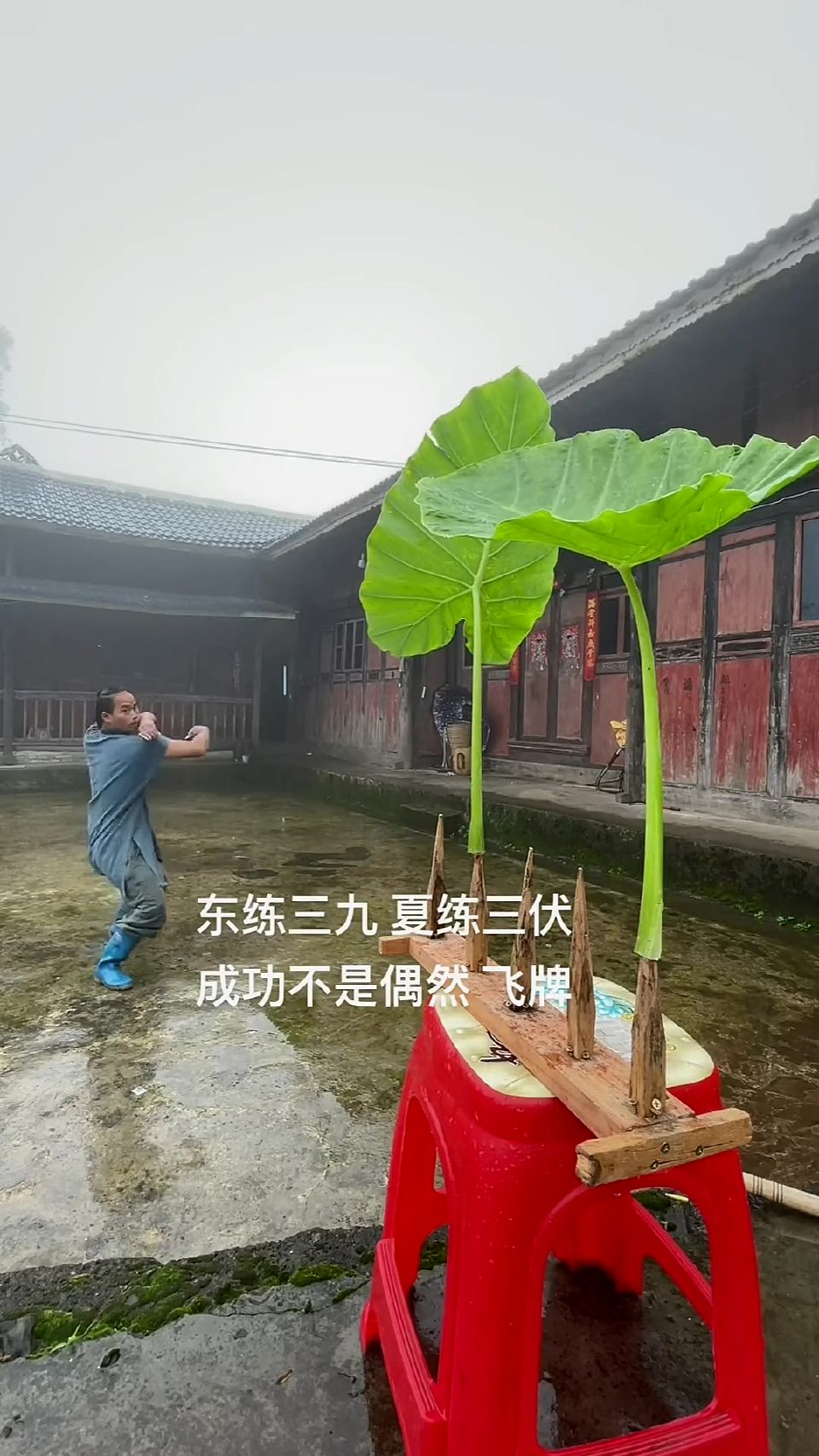 民间大神飞牌神技，哪有什么天赋异禀，都是坚持的努力罢了！