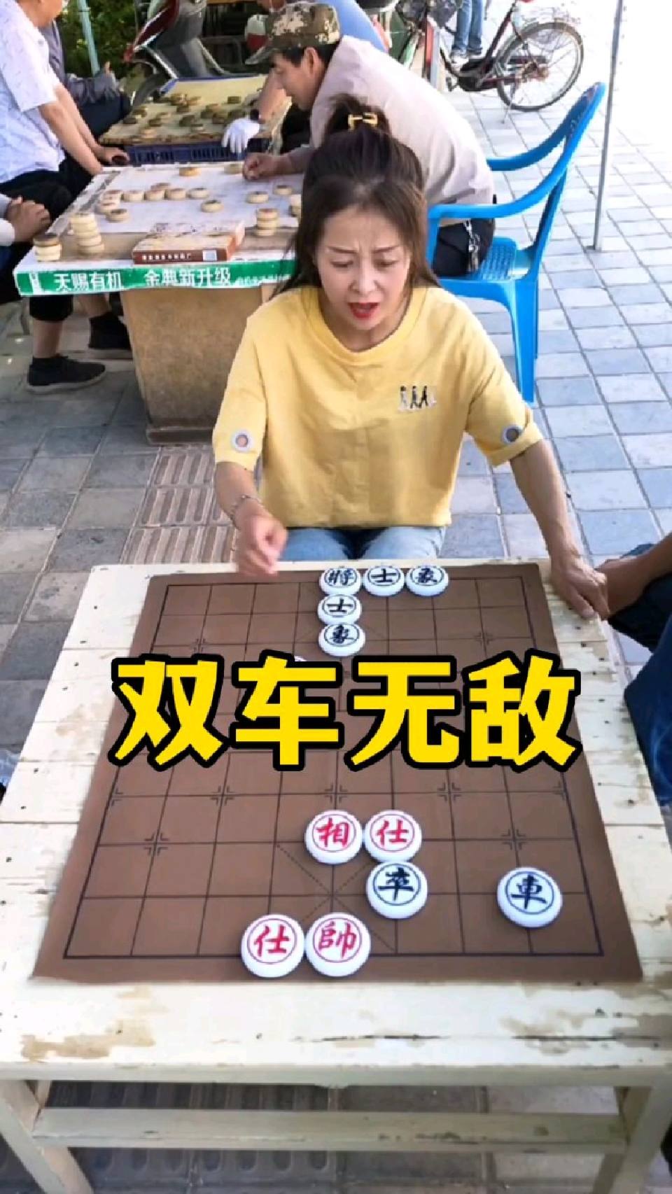 象棋残局，双车无敌