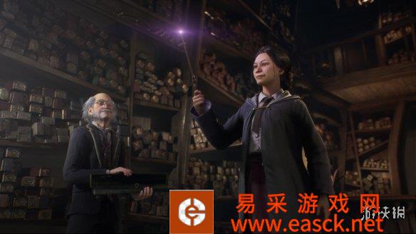 《霍格沃茨遗产》DLC/特典内容曝光：或可骑乘夜骐！