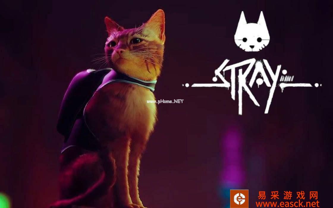 《迷失（stray）》乐谱位置汇总