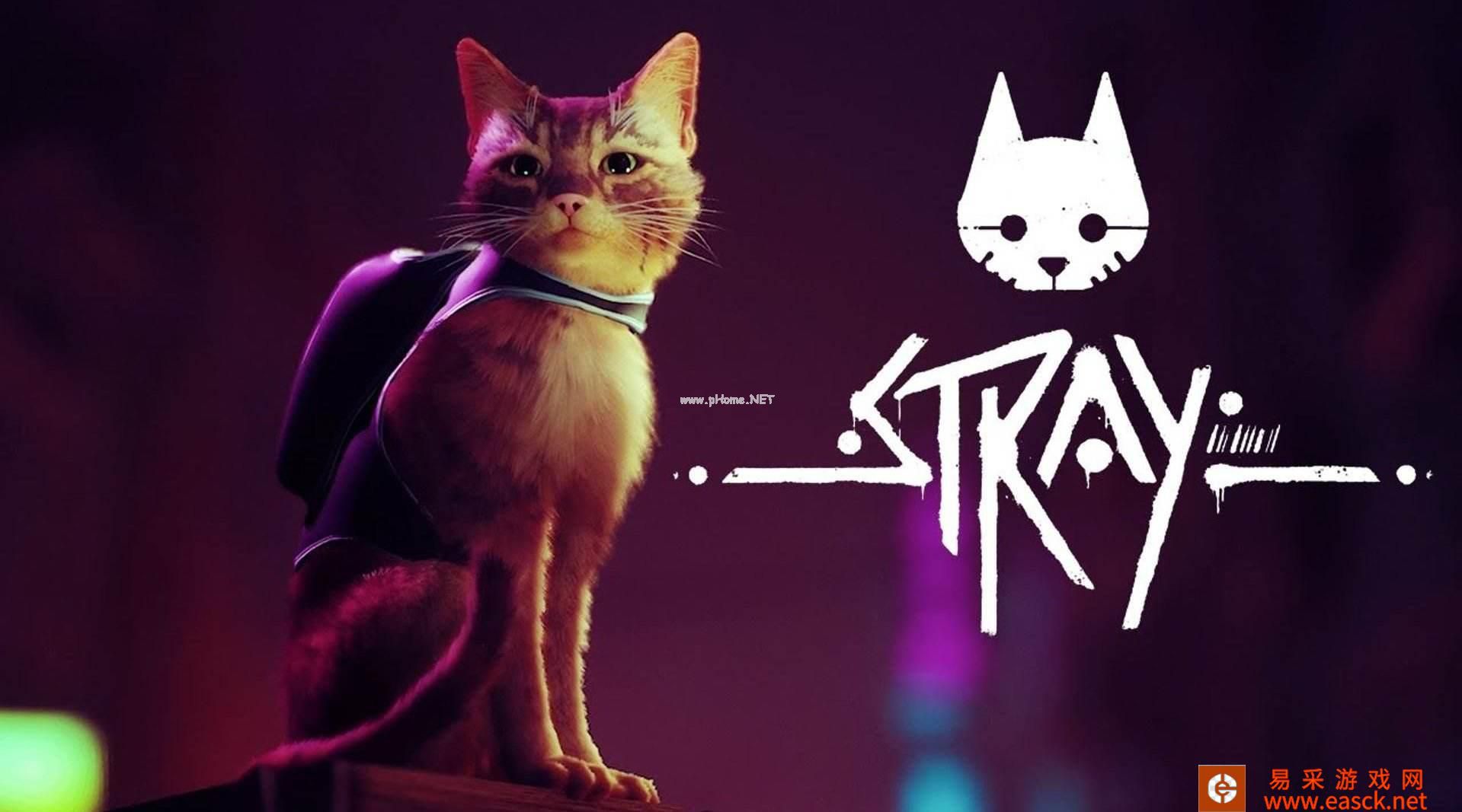 《stray》保险箱密码汇总