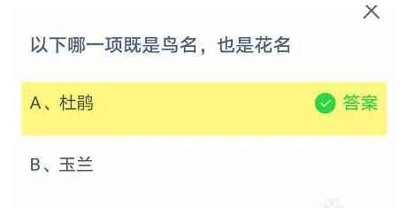以下哪一项既是鸟名，也是花名
