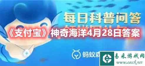 《支付宝》神奇海洋4月28日答案