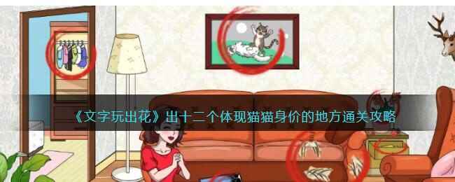 《文字玩出花》找出十二个体现猫猫身价的地方通关攻略