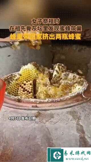 易采游戏网