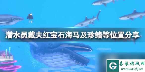 《潜水员戴夫》虎尾海马在哪里抓？红宝石海马及珍鳍等位置分享