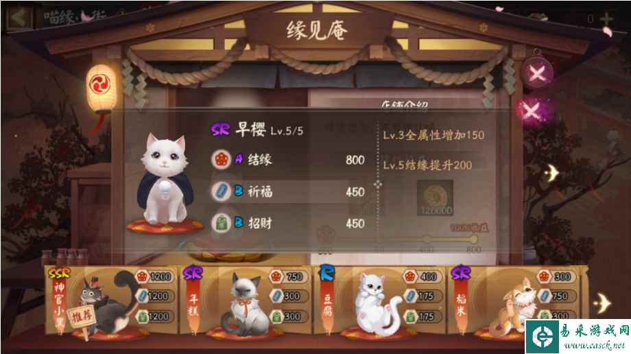 《阴阳师》喵缘小街选择猫咪建议分享