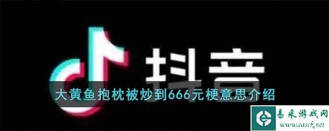 大黄鱼抱枕被炒到666元梗意思介绍