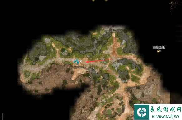 《博德之门3》翠绿林地隐藏藏匿点位置