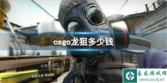 《CSGO》2023最新龙狙价格介绍