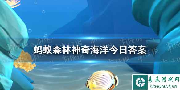 鱼类和藻类哪种可以吸收和固定二氧化碳 蚂蚁森林神奇海洋今日答案8.16最新