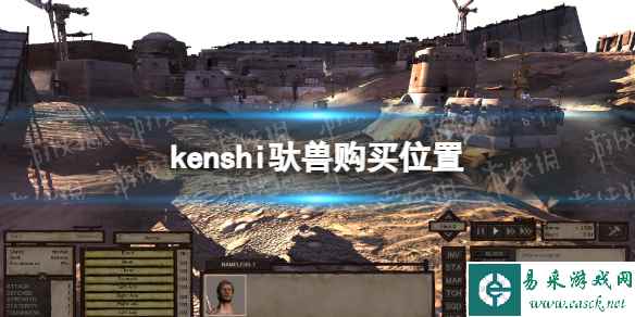 《剑士kenshi》驮兽在哪买？ 驮兽购买位置