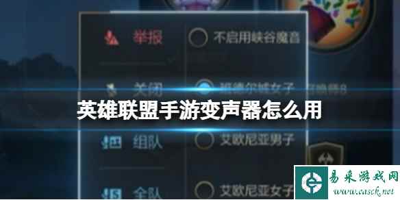 网1