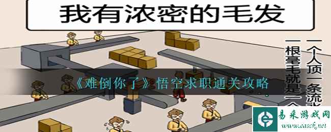 《难倒你了》悟空求职通关攻略