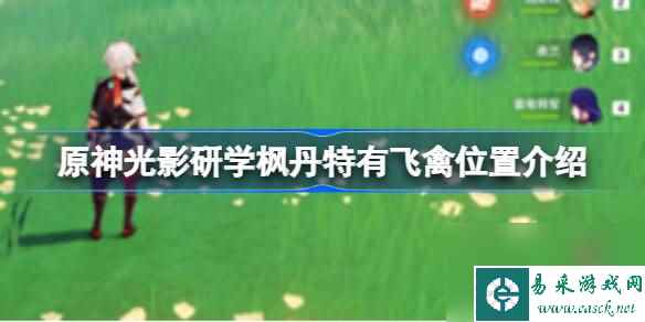 原神光影研学枫丹特有飞禽在哪里介绍 原神光影研学枫丹特有飞禽在哪里在哪