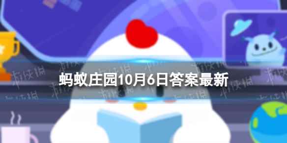 网1