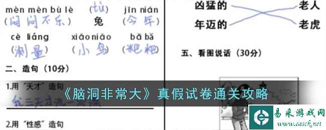 《脑洞非常大》真假试卷通关攻略