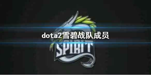 《dota2》雪碧战队成员介绍