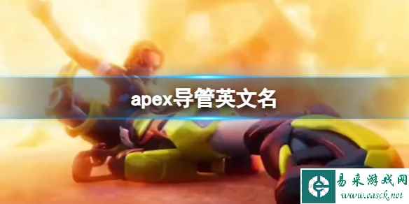 《apex》导管英文名介绍