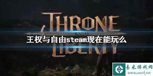 《王权与自由》steam登录方法介绍