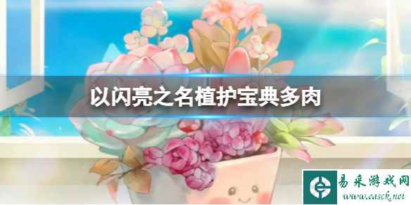 《以闪亮之名》植护宝典多肉 五星限定饰品等你来拿