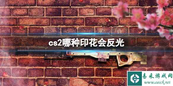 《cs2》会反光印花介绍