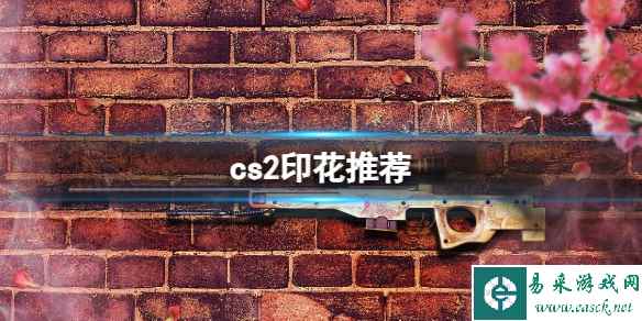 《cs2》印花推荐介绍