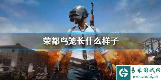 《PUBG》荣都鸟笼外观一览