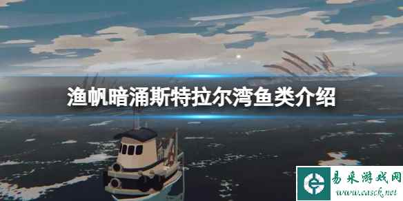 《渔帆暗涌》斯特拉尔湾鱼类介绍