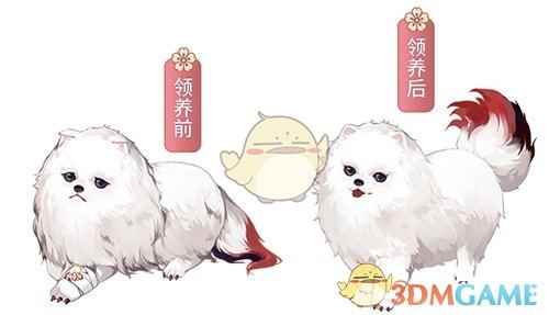 《阴阳师》赤雪犬领养攻略介绍