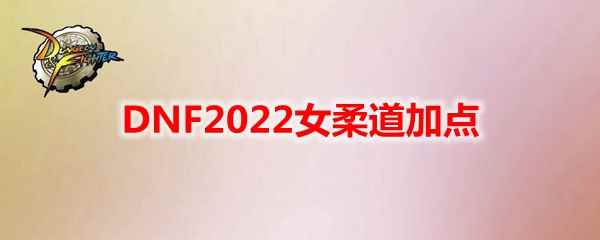 DNF2022女柔道加点