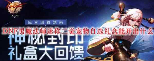 DNF男魔法师迷你二觉宠物自选礼盒能开出什么