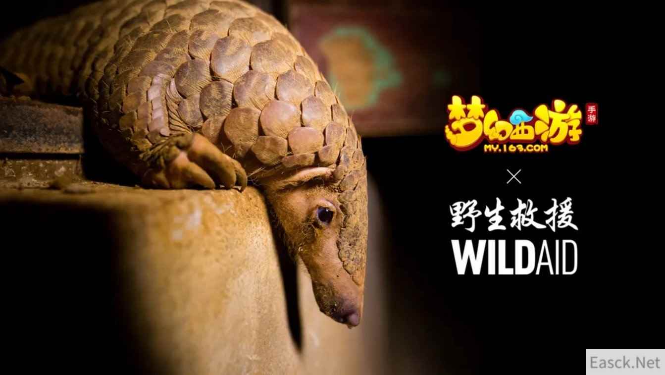 守望生灵！《梦幻西游》手游携手WildAid打造野生动物保护新玩法