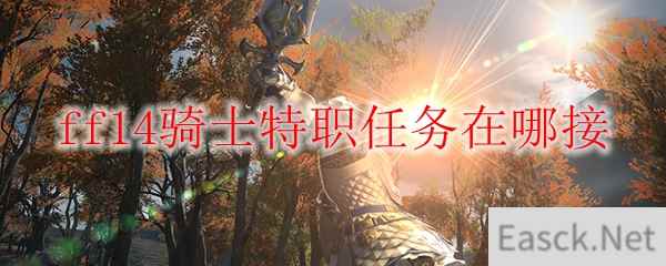 ff14骑士特职任务在哪接