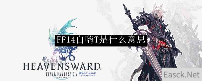 FF14自嗨T是什么意思