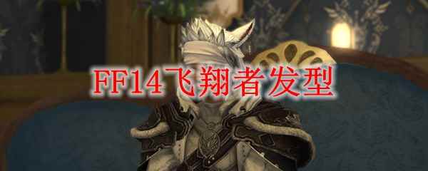 FF14飞翔者发型