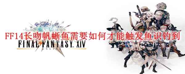 FF14长吻帆蜥鱼需要如何才能触发鱼识钓到