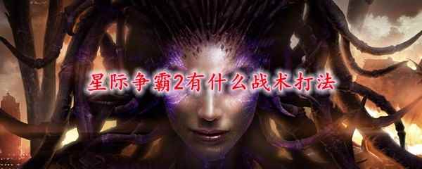 星际争霸2有什么战术打法