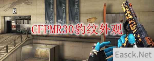 CFPMR30豹纹外观