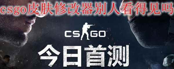 csgo皮肤修改器别人看得见吗