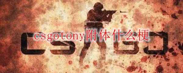 csgotony附体什么梗