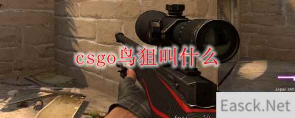 csgo鸟狙叫什么