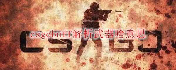 csgobuff解析武器啥意思