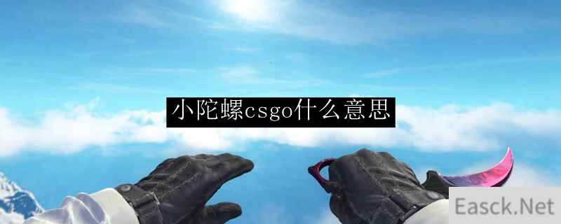 小陀螺csgo什么意思