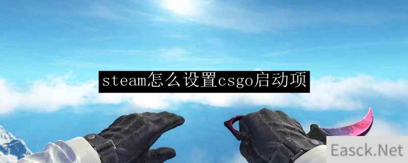 steam怎么设置csgo启动项