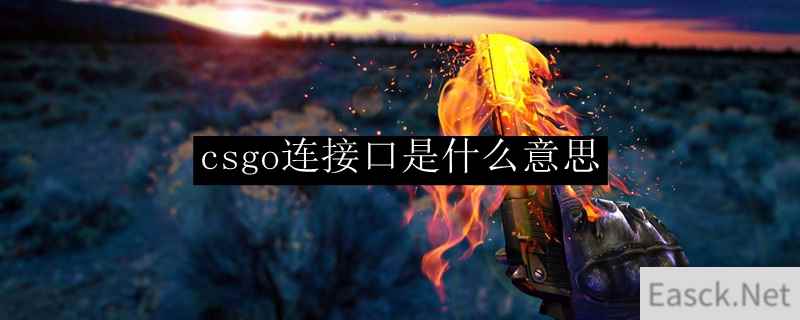 csgo连接口是什么意思