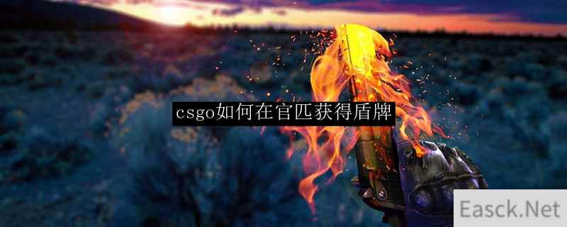 csgo如何在官匹获得盾牌