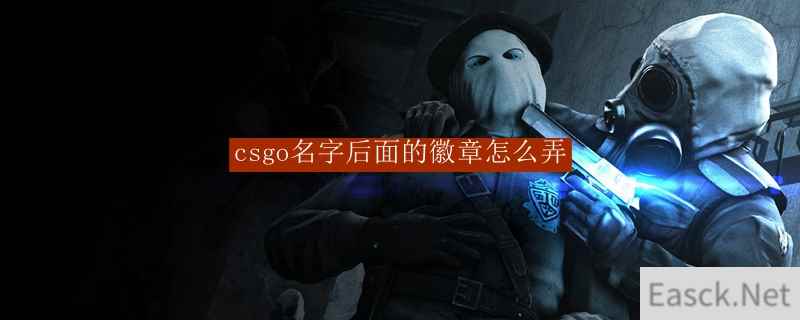 csgo名字后面的徽章怎么弄